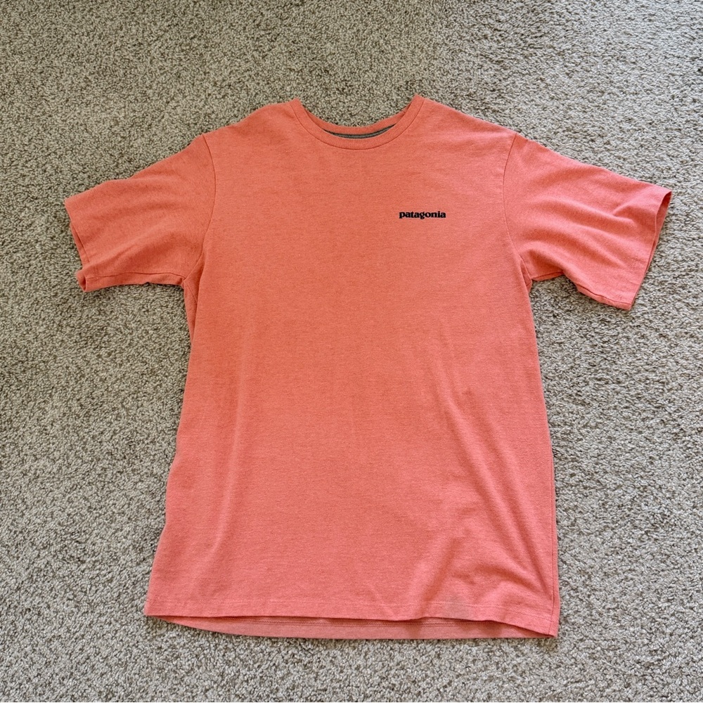 Patagonia Men's Salmon Short Sleeve Tee